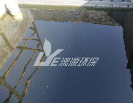 化工污水處理的污泥脫水技術(shù)有哪些? alt=