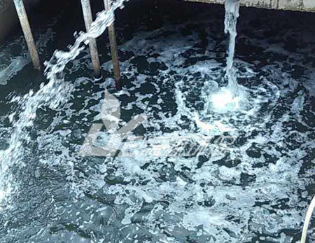 松香廢水處理技術(shù)，可以快速達(dá)標(biāo)