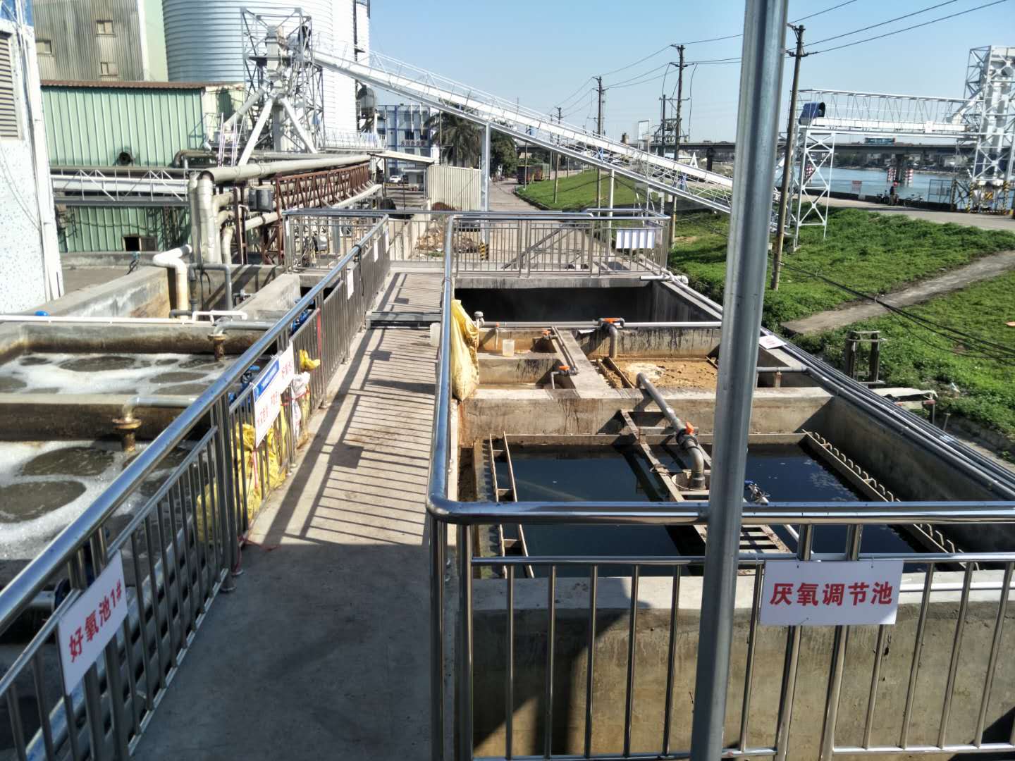 食品廢水植物處理技術(shù)，你知道嗎？