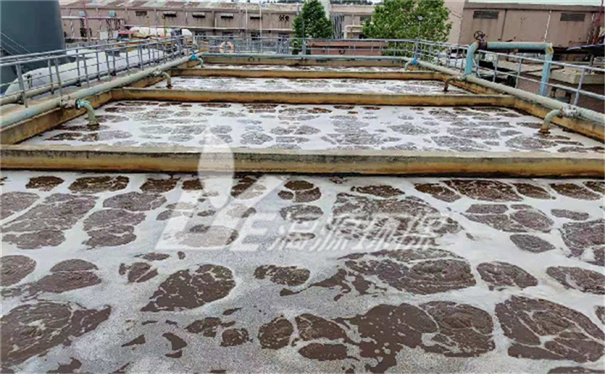 水果罐頭廢水處理技術(shù) 水果罐頭廢水處理技術(shù)