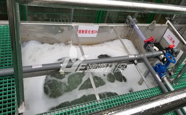 木犀草素廢水處理 木犀草素廢水處理
