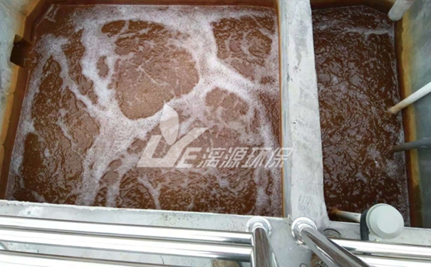 木犀草素生產(chǎn)廢水處理 木犀草素生產(chǎn)廢水處理